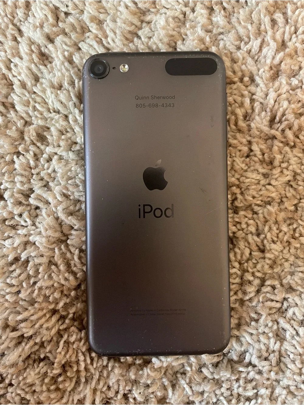 Apple iPod Touch - gray